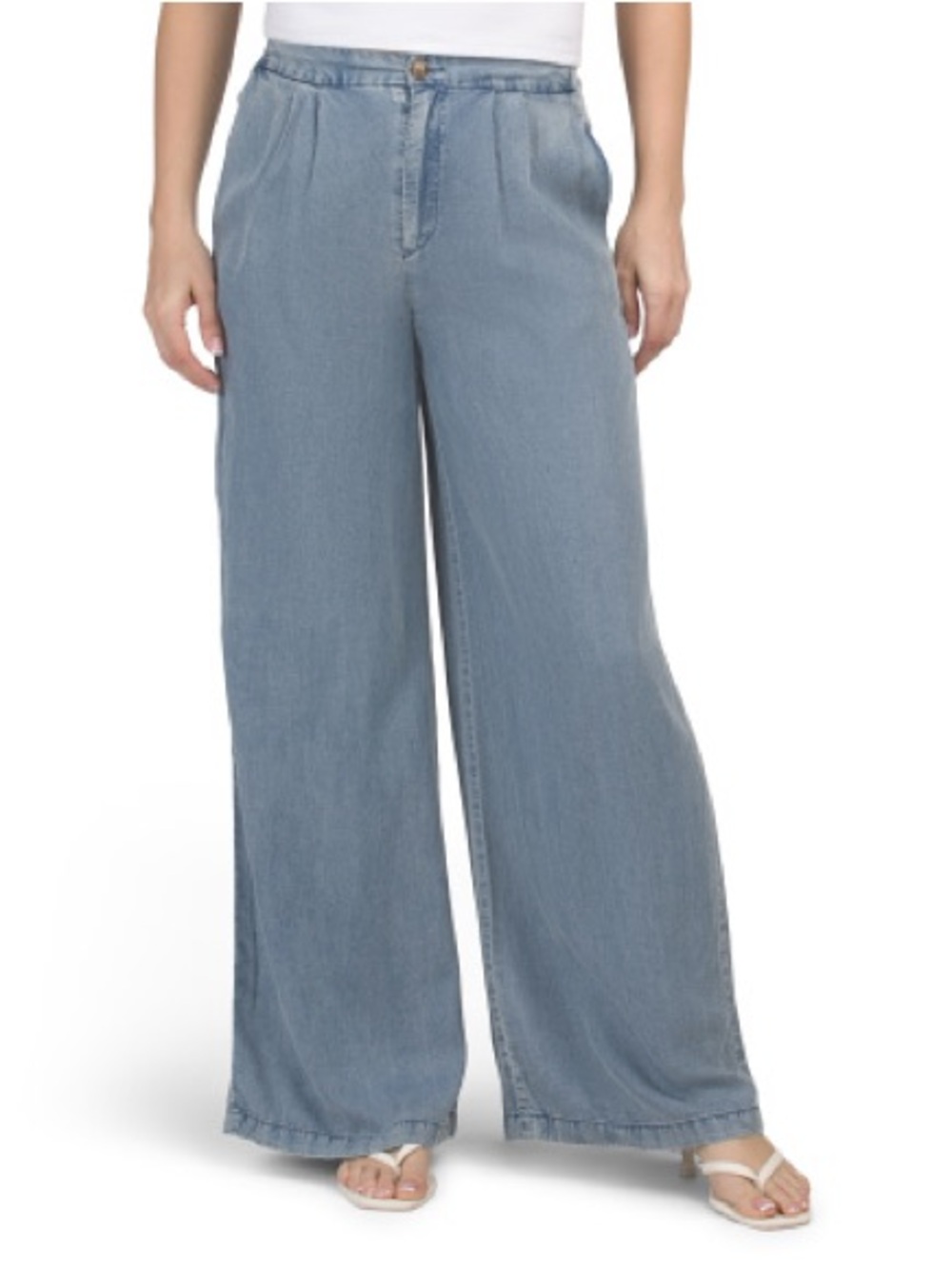 Joie Pleated Fly Front Wide Leg Pant